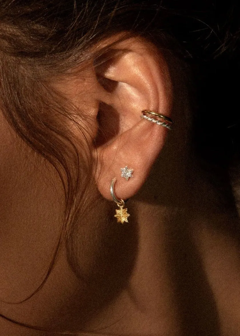 Astra Earrings / silver