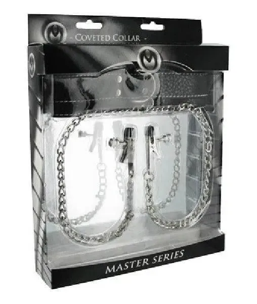Coveted Collar And Clamp Union
