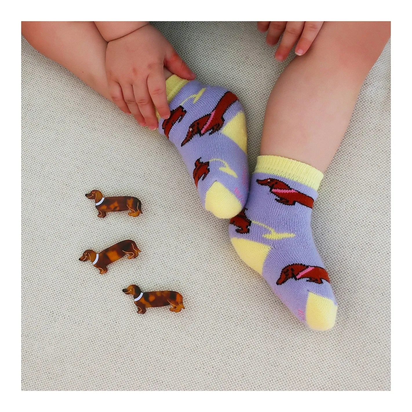 Dachshund hair clip