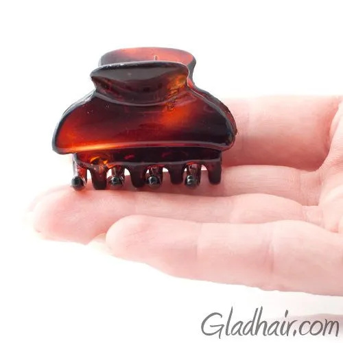 French Small Hair Claw Tortoise