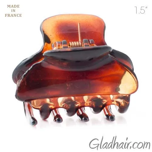 French Small Hair Claw Tortoise