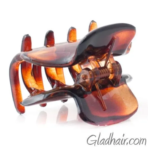 French Small Hair Claw Tortoise