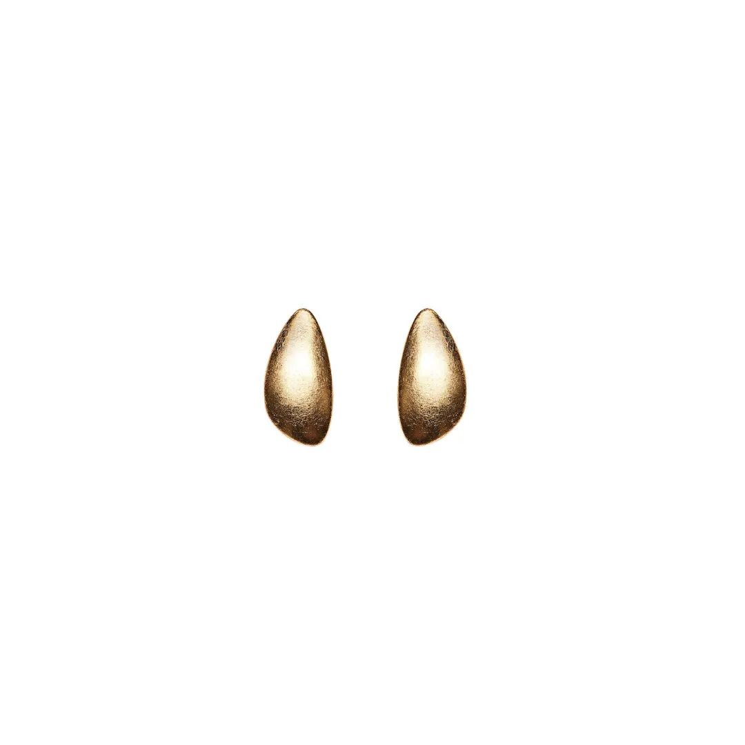Medellin Monies Gold Foil & Acacia Earrings
