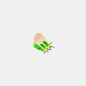 Mini Claw in Green   Nude
