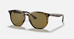 Polished Havana | Gradient  Brown | Ray Ban