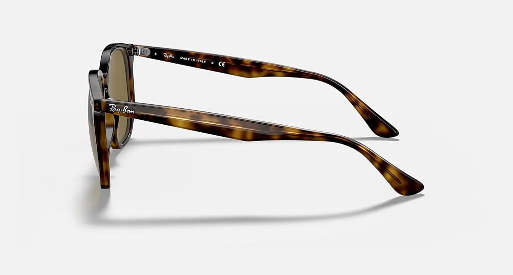 Polished Havana | Gradient  Brown | Ray Ban