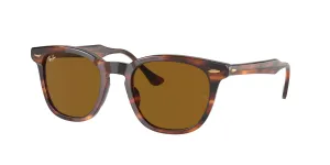 Ray-Ban RB 2298