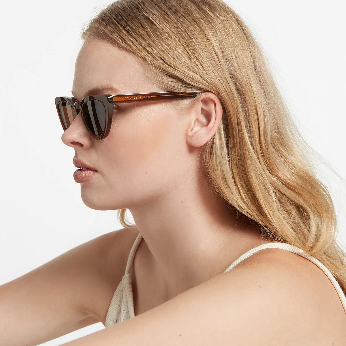Villain Sunglasses - Brown