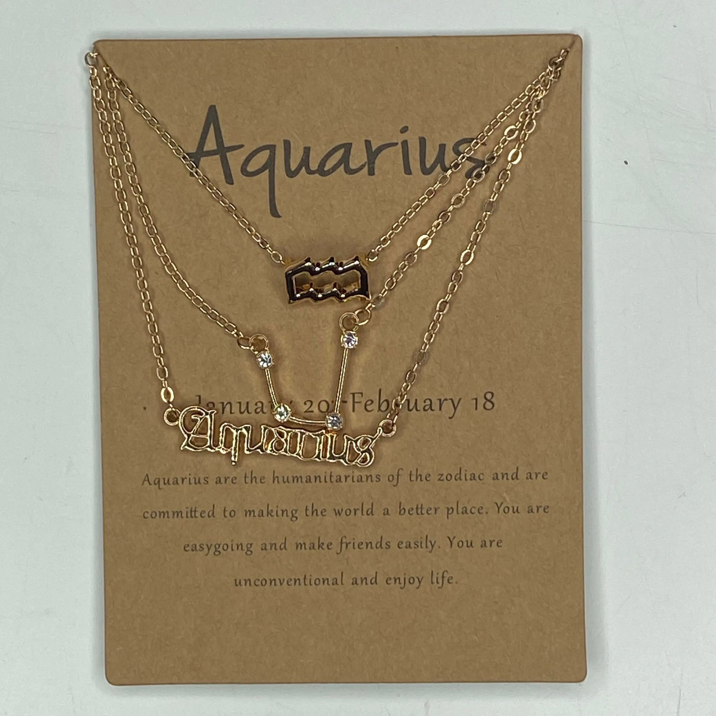 Zodiac Astrological Sign Necklace Set